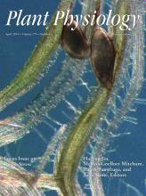 Focus Issue – Biotic Stress Plant Physiology 2019